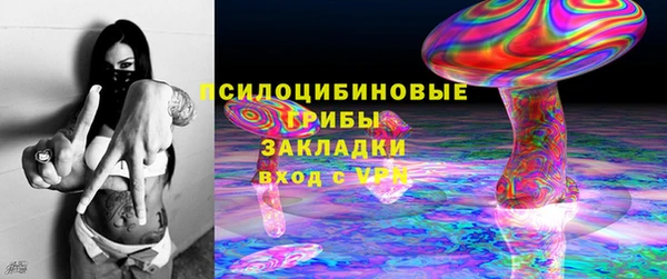 крисы Балахна